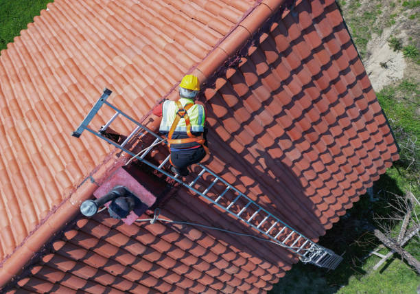Best Skylight Installation and Repair  in Brimfield, OH